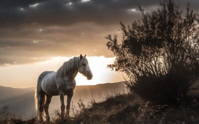 Le syndrome de Cushing chez le cheval : Comprendre et agir naturellement