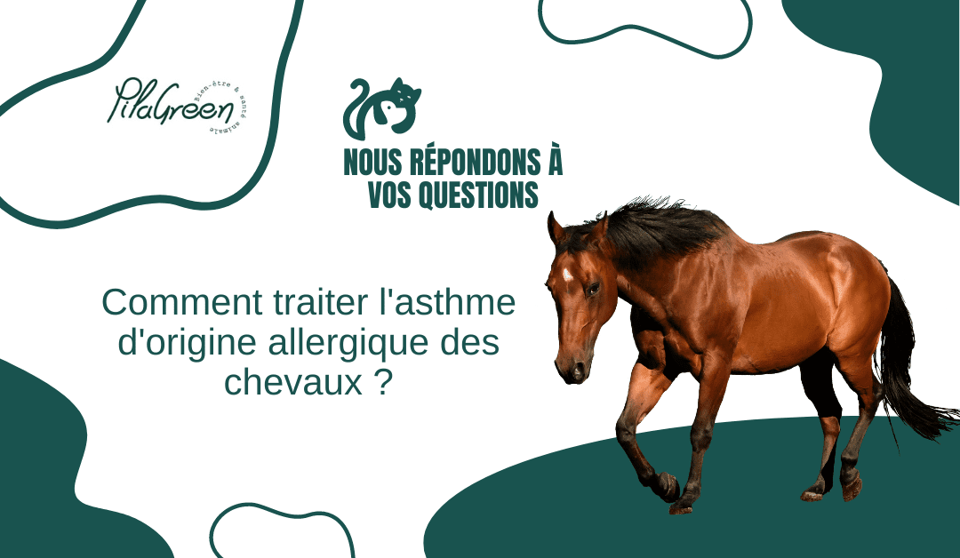 Asthme allergique chevaux